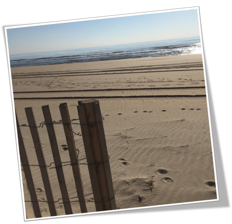 Hurricane Sandy and Long Beach Island NJ | Long Beach Island NJ Real Estate | LBI Real Estate Market